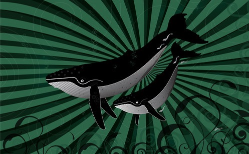 Greg Straight New Zealand Inspired Themepack para Windows7 UmbrellaMOD.CoM Greg Straight New Zealand Inspired Themepack para Windows7 UmbrellaMOD.CoM