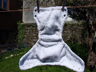 Image: dsc02544-373142.jpg