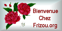 Frizou.org