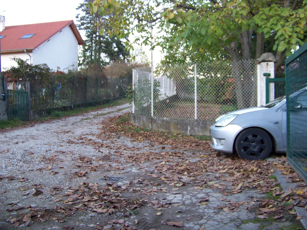 http://img24.xooimage.com/files/2/0/4/100_0058-153a0ca.jpg