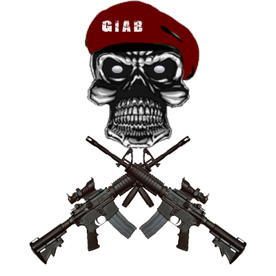 Groupe d'Intervention d'Airsoft du Berry Forum Index
