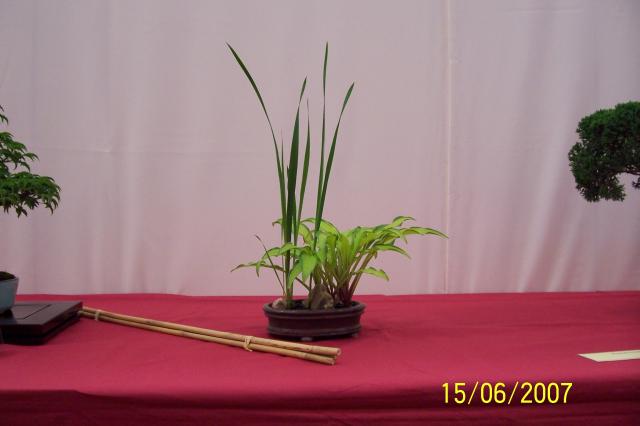 Image: 100_6840-420488.jpg
