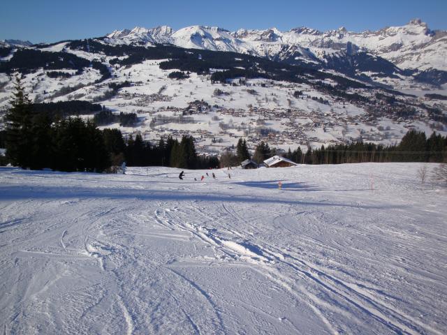 Grand bois; Megève Mont d'arbois Dsc00566-960698