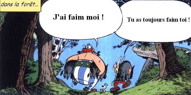 asterix-et-obelix-foret-a5d4d4.jpg