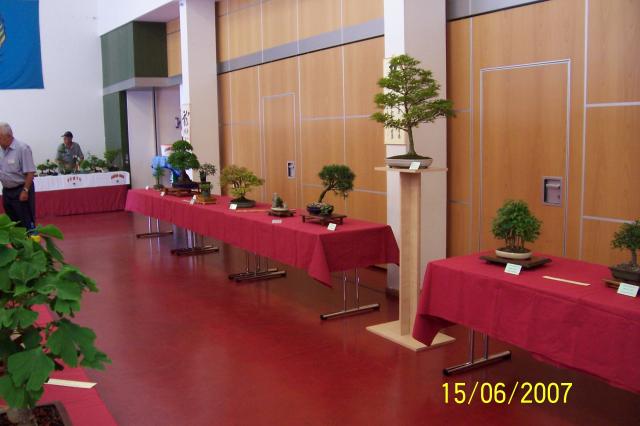 Image: 100_6849-42052f.jpg