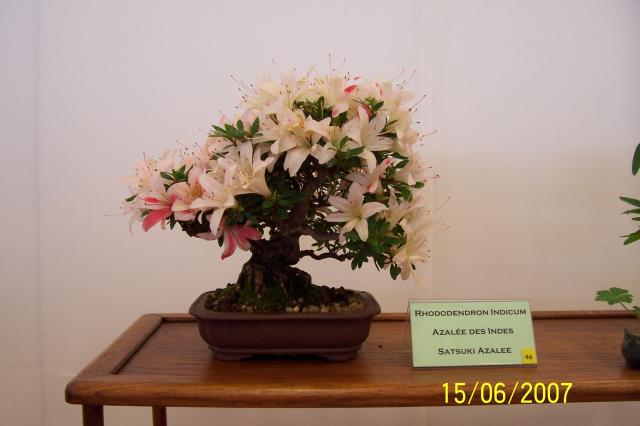 Image: 100_6866-420707.jpg