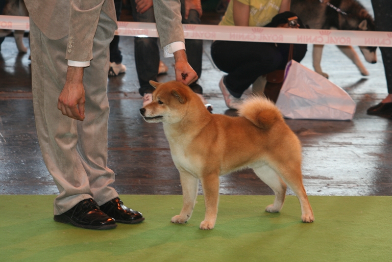 Image: aj-082-fd55b3.jpg