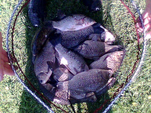Image: photo009-33b8f5.jpg