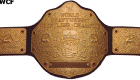 World Heavyweight Champion