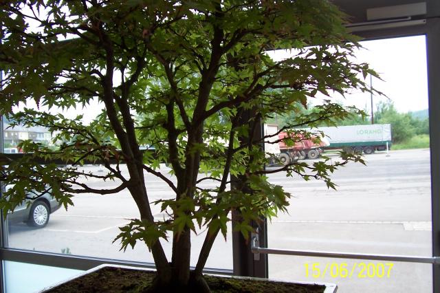 Image: 100_6890-42091d.jpg