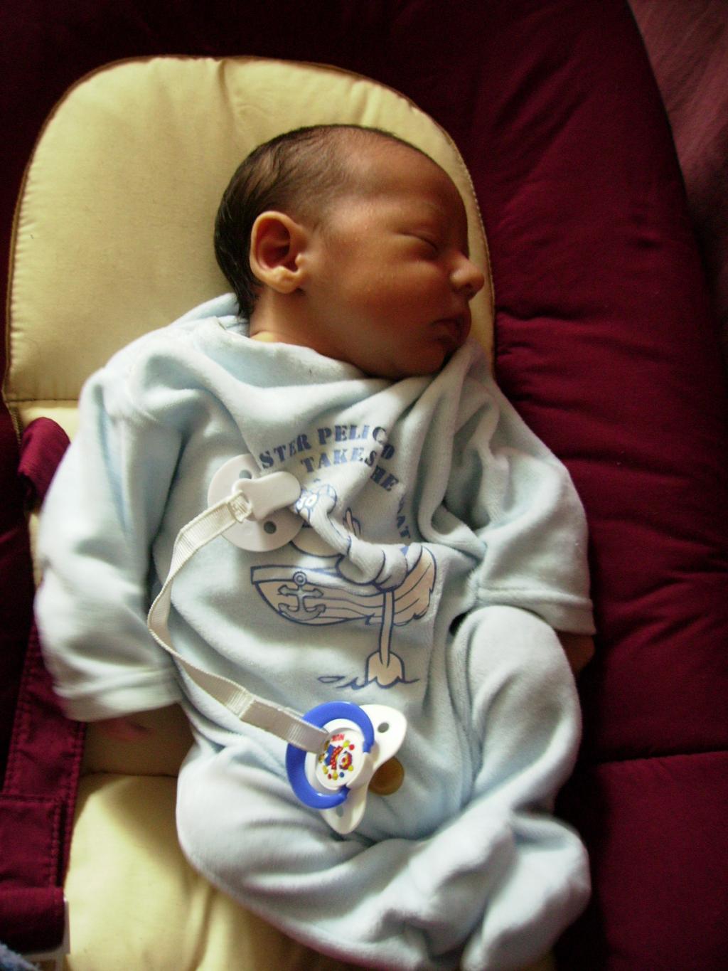 Image: imgp0124-40ff35.jpg