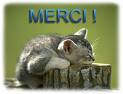 Merci