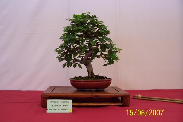 Image: 100_6863-4206b3.jpg
