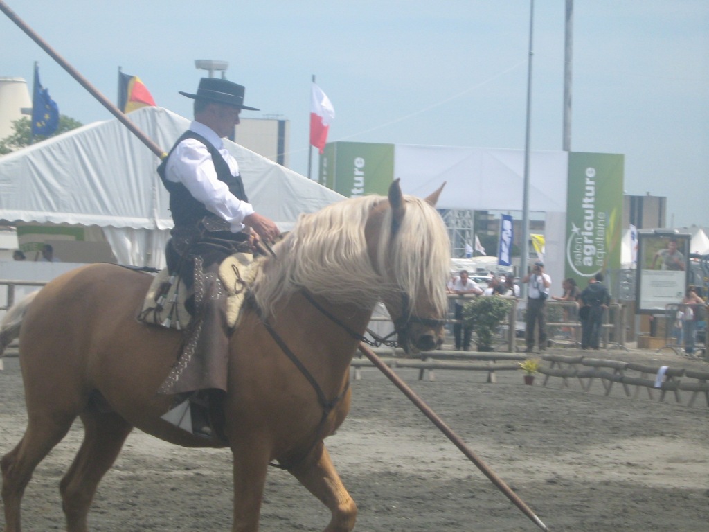 Image: img_0009-30a8d6.jpg