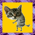 Kat
