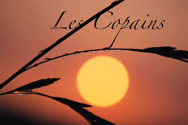 Les Copains