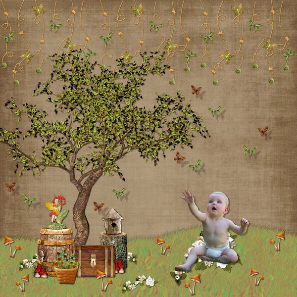 http://img24.xooimage.com/files/c/c/f/papillons-1705efe.jpg