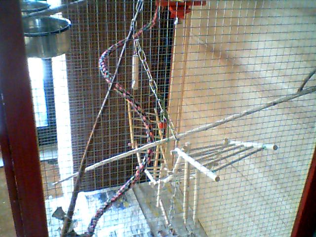 Image: image-003-3011db.jpg