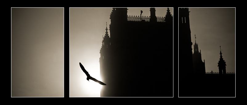 Image: ban-quintessenceblk-9c184d.png