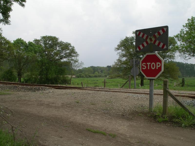 Image: imgp3188-337877.jpg