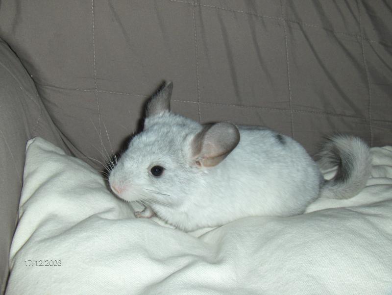 Image: bb-mabelle-du-080...71208-028-91c91d.jpg