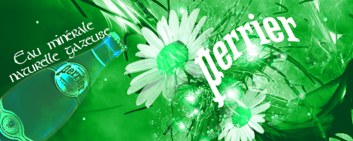 http://img24.xooimage.com/files/f/5/5/perrier-fa98a4.png